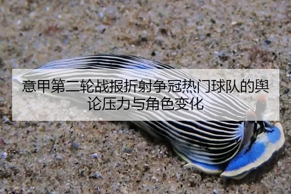 意甲第二轮战报折射争冠热门球队的舆论压力与角色变化